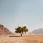 Show Me Your Ways (feat. Leeland) - Thrive Worship